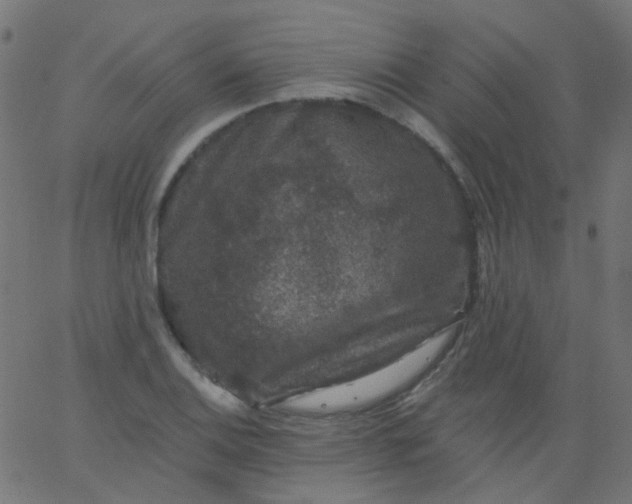 X0000067901124200604271846