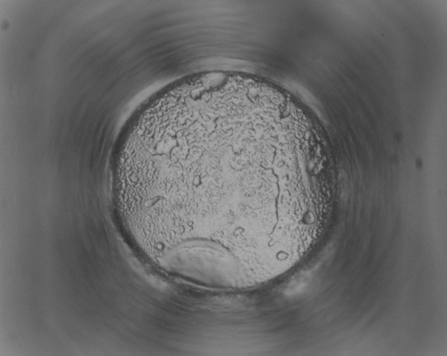 X0000067901125200604271846