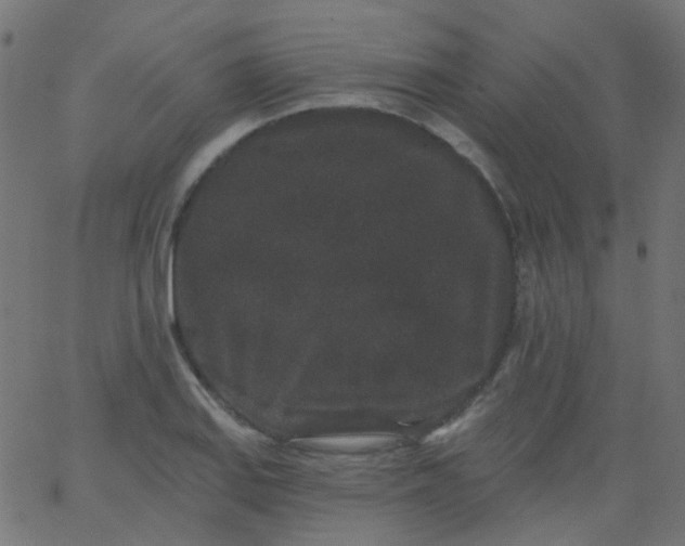 X0000067901127200604271846