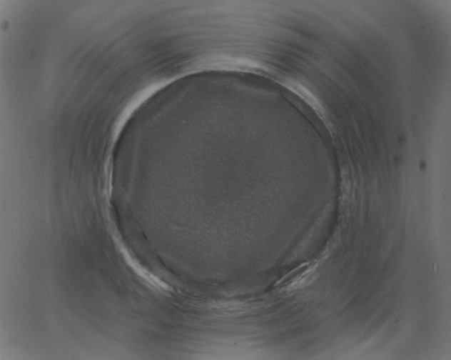 X0000067901128200604271846