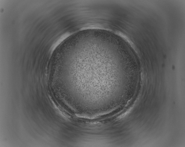 X0000067901129200604271846