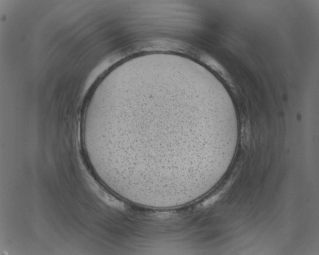 X0000067901130200604271846