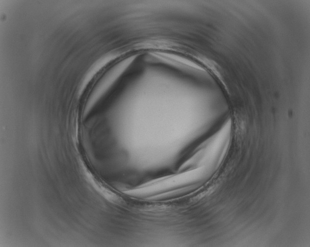 X0000067901131200604271846