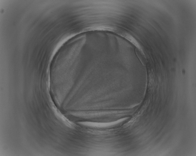 X0000067901132200604271846