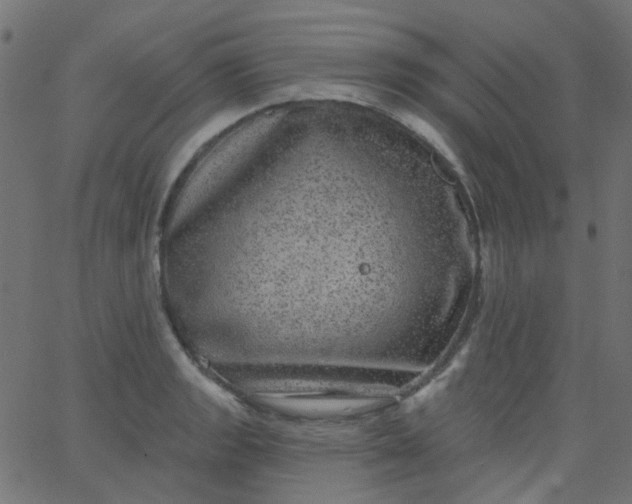 X0000067901133200604271846