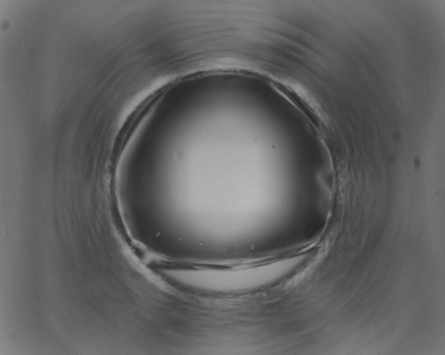 X0000067901134200604271846