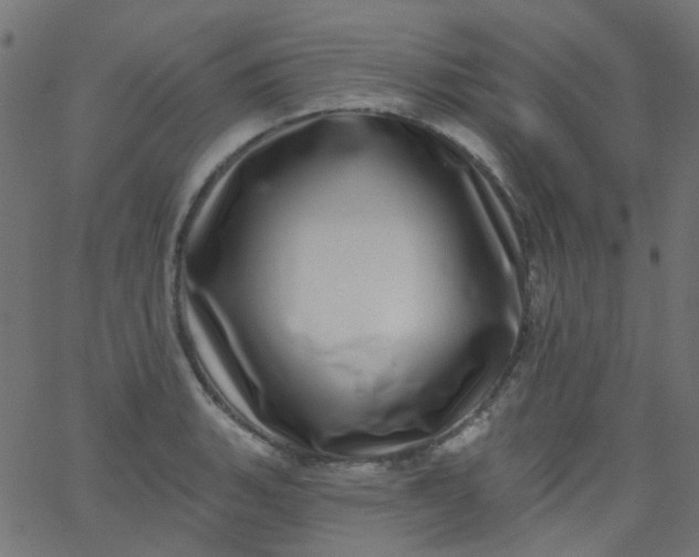 X0000067901135200604271846