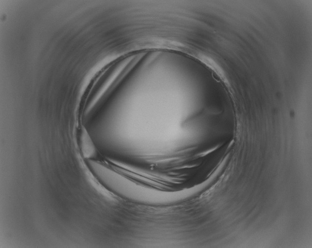 X0000067901136200604271846