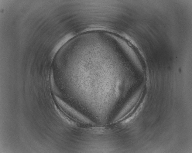 X0000067901137200604271846