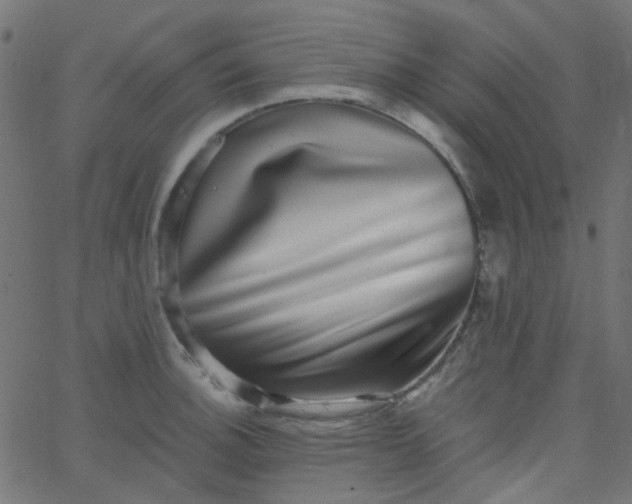 X0000067901140200604271846