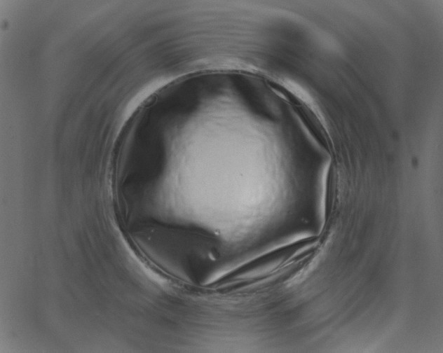 X0000067901141200604271846