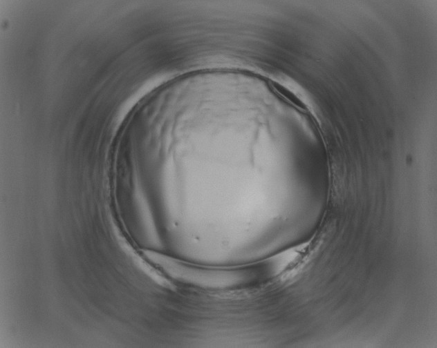 X0000067901142200604271846