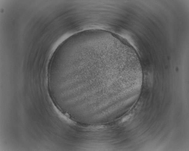 X0000067901143200604271846