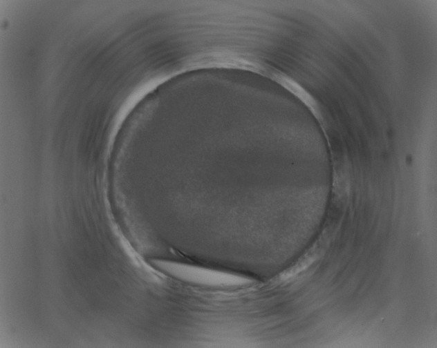 X0000067901144200604271846