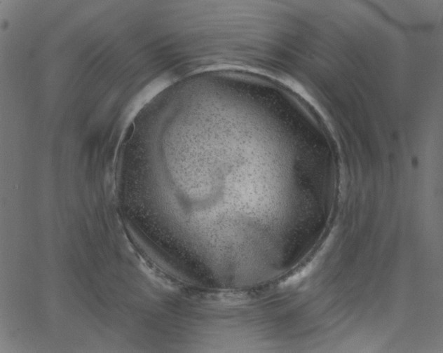 X0000067901145200604271846