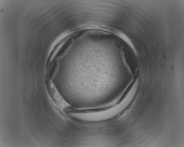 X0000067901146200604271846