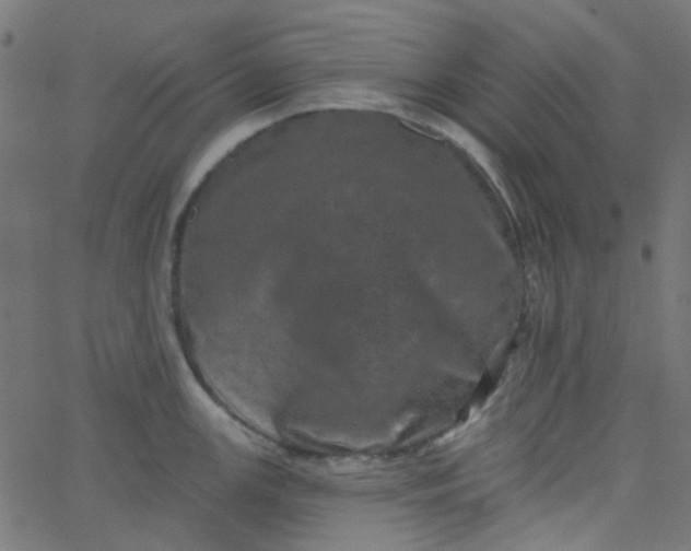 X0000067901147200604271846