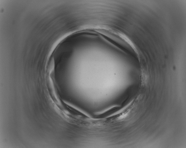 X0000067901148200604271846