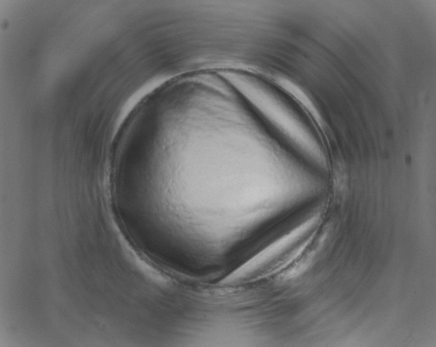 X0000067901149200604271846