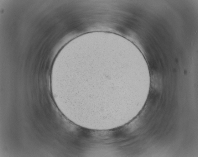 X0000067901150200604271846