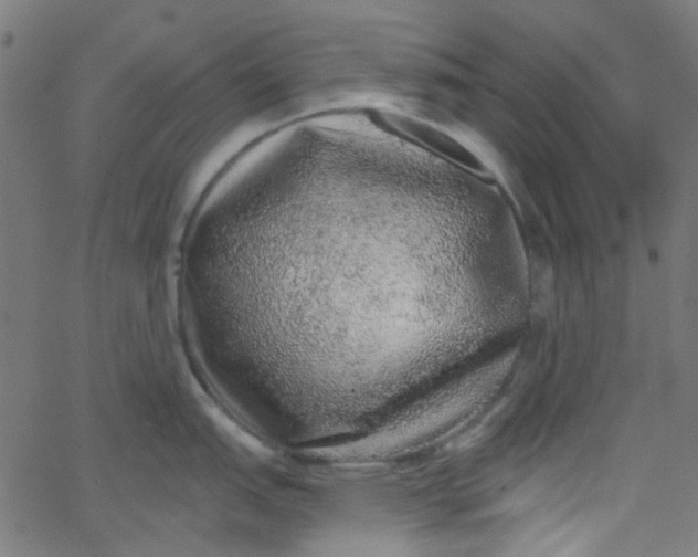 X0000067901151200604271846