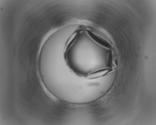 X0000067901152200604271846