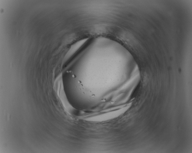 X0000067901153200604271845