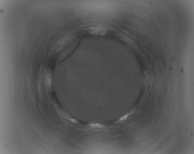 X0000067901154200604271845