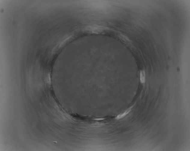 X0000067901155200604271845