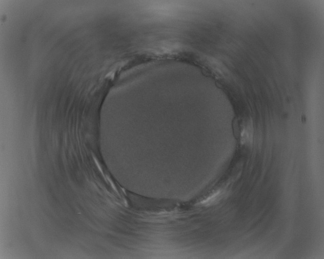 X0000067901156200604271845