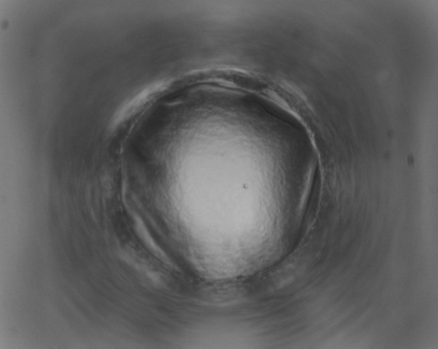 X0000067901159200604271845