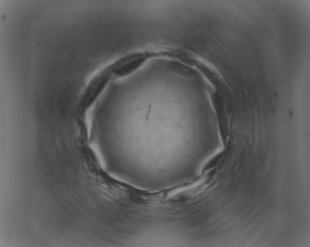 X0000067901160200604271845