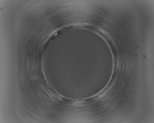 X0000067901161200604271845