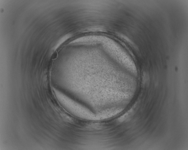 X0000067901162200604271845