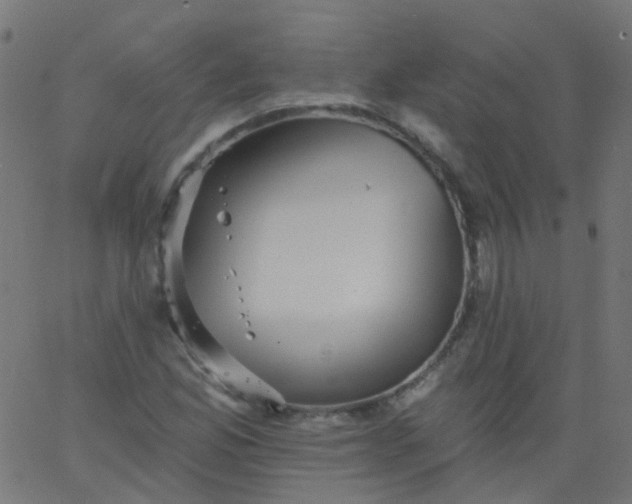 X0000067901165200604271845