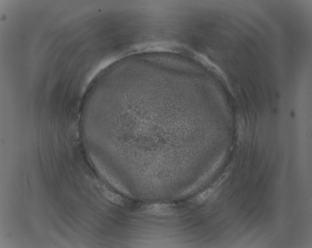 X0000067901166200604271845