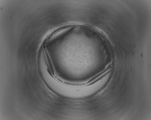 X0000067901168200604271845