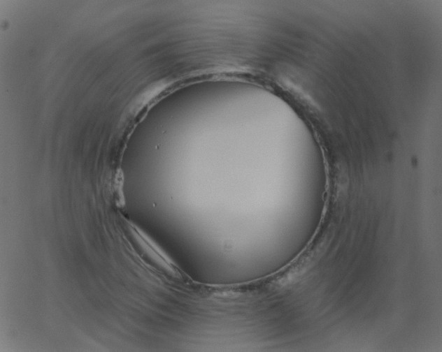 X0000067901169200604271845