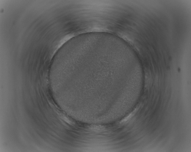 X0000067901170200604271845