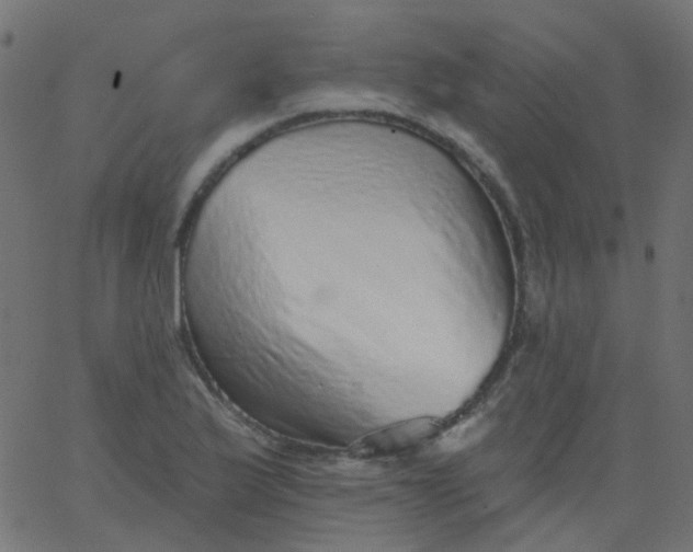 X0000067901175200604271845