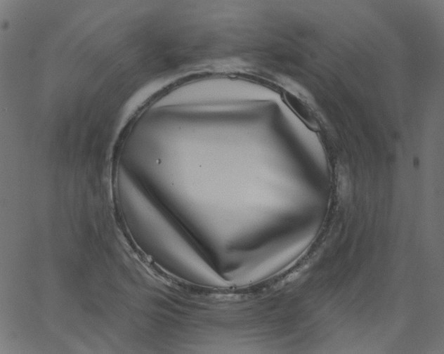 X0000067901176200604271845