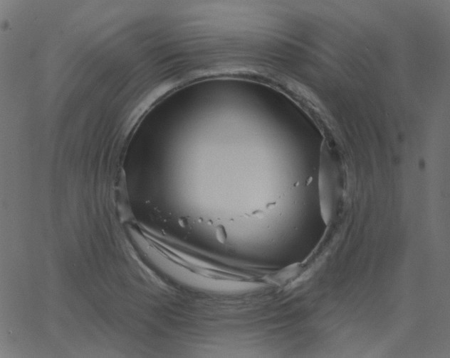 X0000067901177200604271845