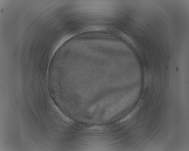 X0000067901178200604271845