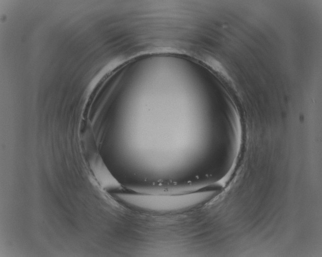 X0000067901181200604271845