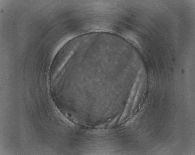 X0000067901182200604271845