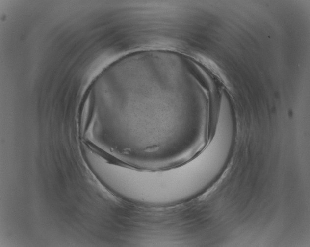 X0000067901184200604271845