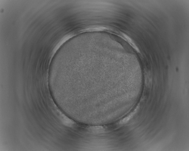 X0000067901186200604271845