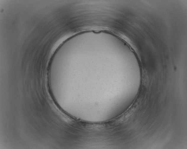 X0000067901187200604271845