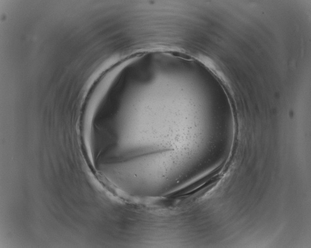 X0000067901189200604271845