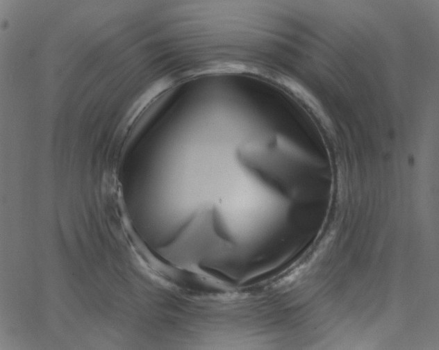 X0000067901193200604271845